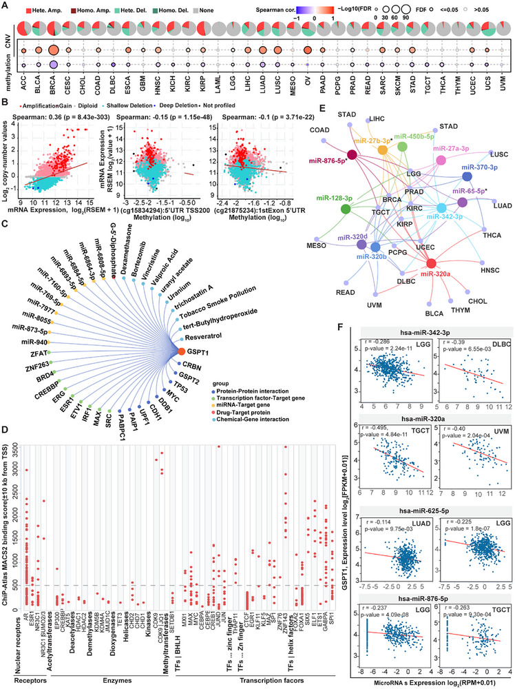 PMC12713026 – advs72646-fig-0003