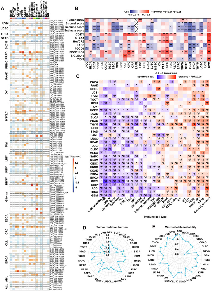 PMC12713026 – advs72646-fig-0007