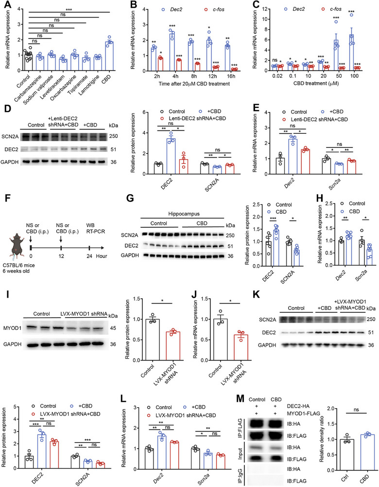 PMC12462991 – advs70687-fig-0007