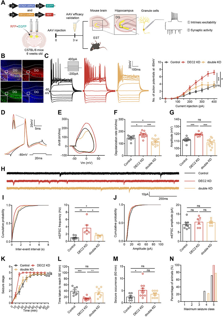 PMC12462991 – advs70687-fig-0006