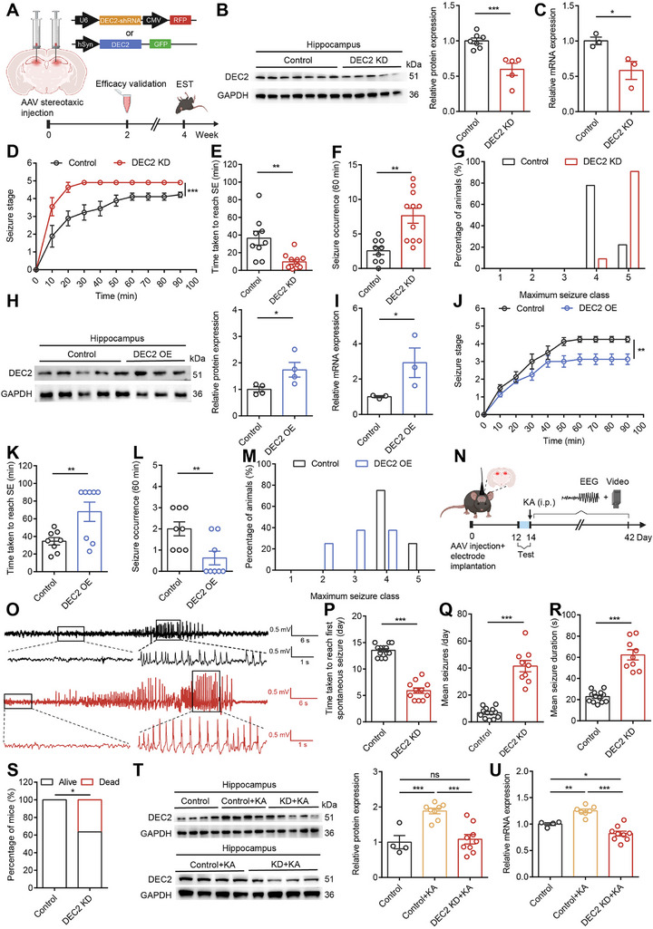 PMC12462991 – advs70687-fig-0002