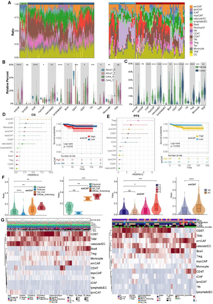 PMC12533407 – advs71040-fig-0006