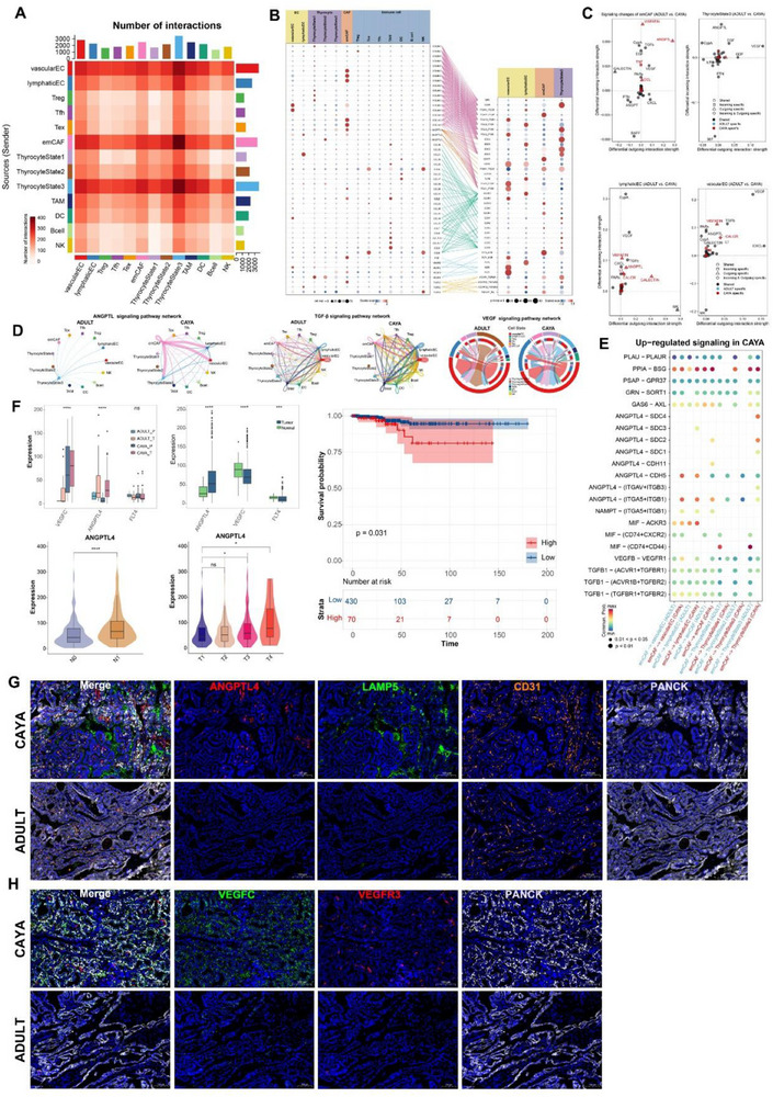 PMC12533407 – advs71040-fig-0007