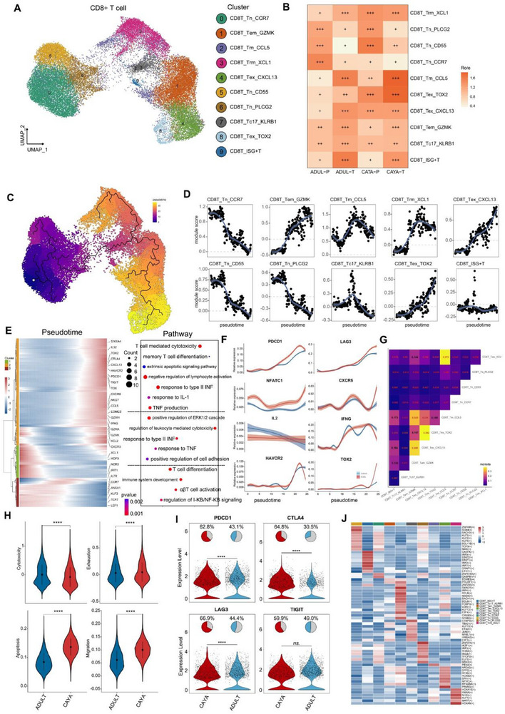 PMC12533407 – advs71040-fig-0003