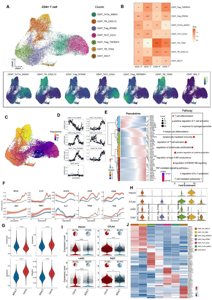 PMC12533407 – advs71040-fig-0002
