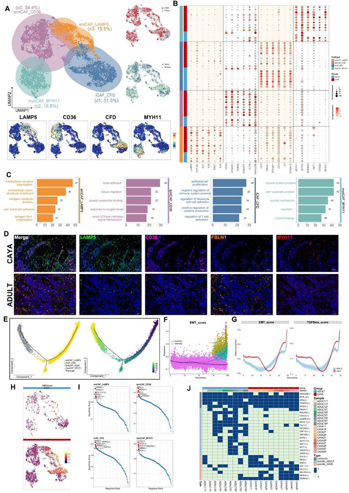 PMC12533407 – advs71040-fig-0005