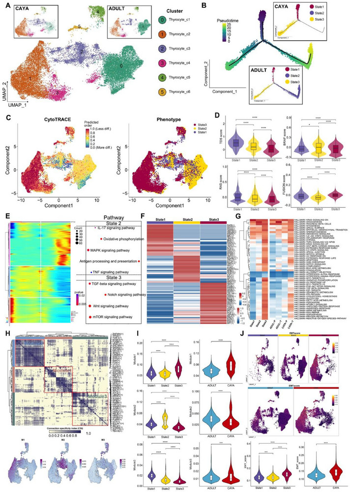 PMC12533407 – advs71040-fig-0004