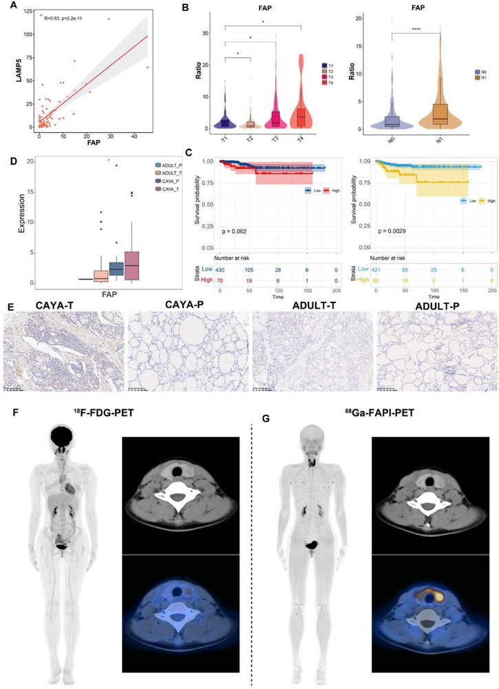 PMC12533407 – advs71040-fig-0008