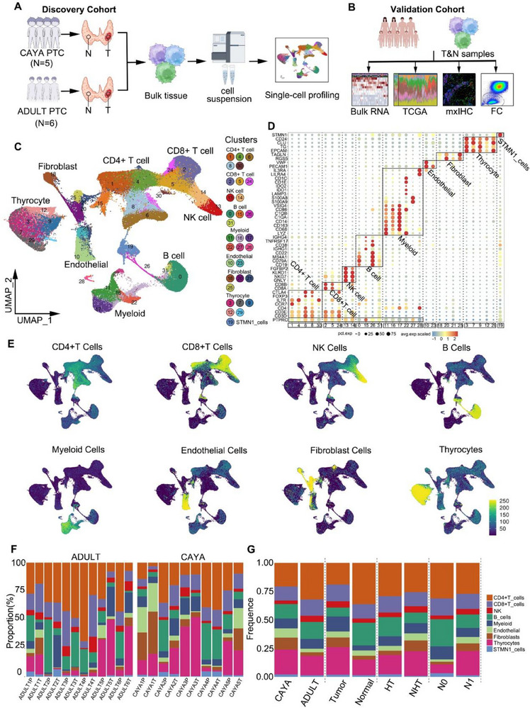 PMC12533407 – advs71040-fig-0001