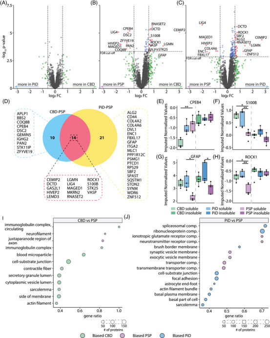 PMC12183113 – alz70401-fig-0003