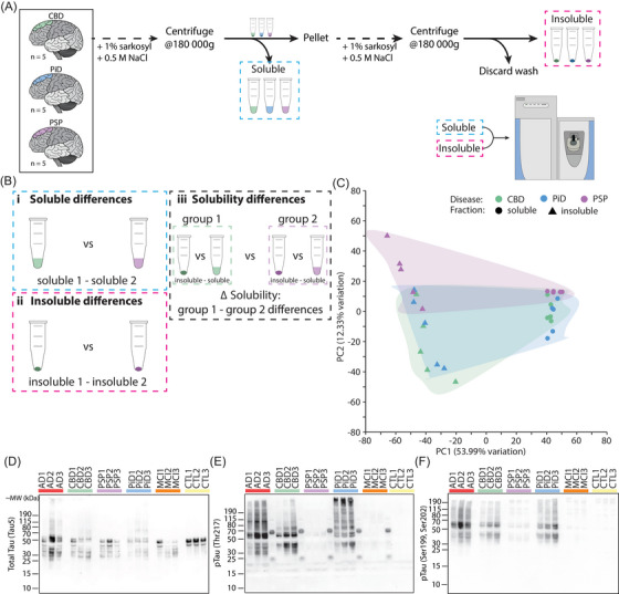 PMC12183113 – alz70401-fig-0001