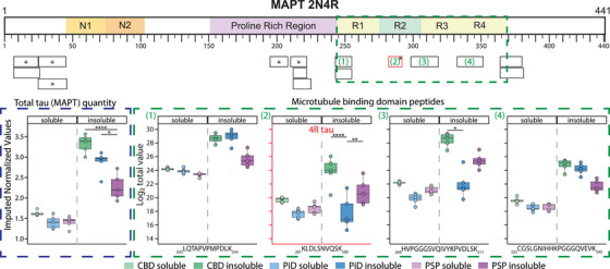 PMC12183113 – alz70401-fig-0002