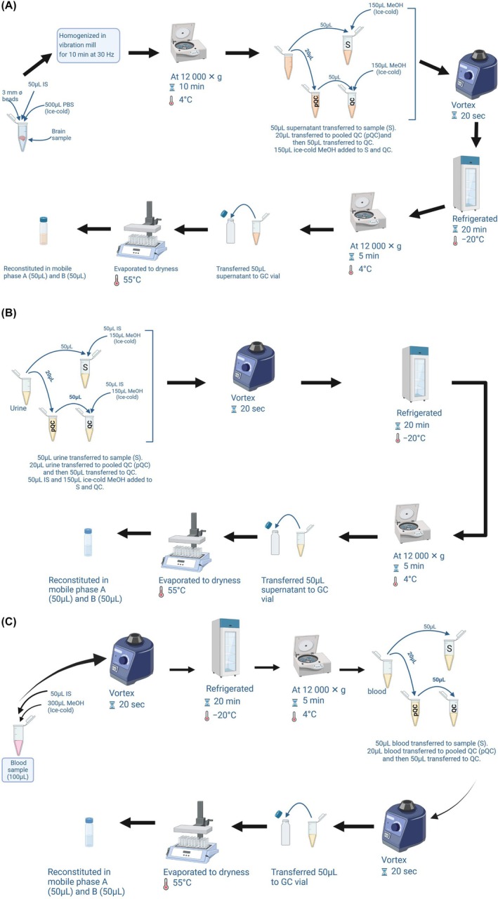 PMC12204998 – ame212569-fig-0001