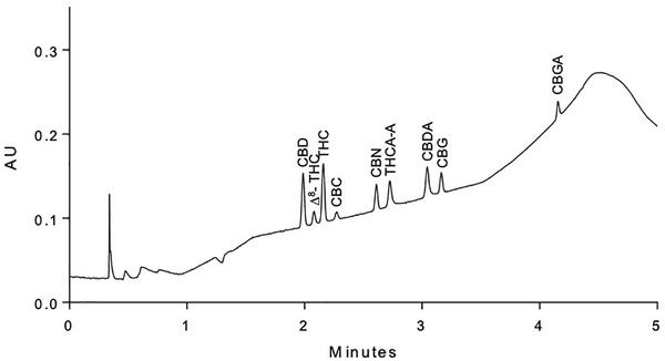 PMC10989068 – ansa202000091-fig-0001