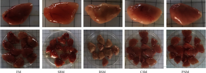 PMC10830314 – fig1