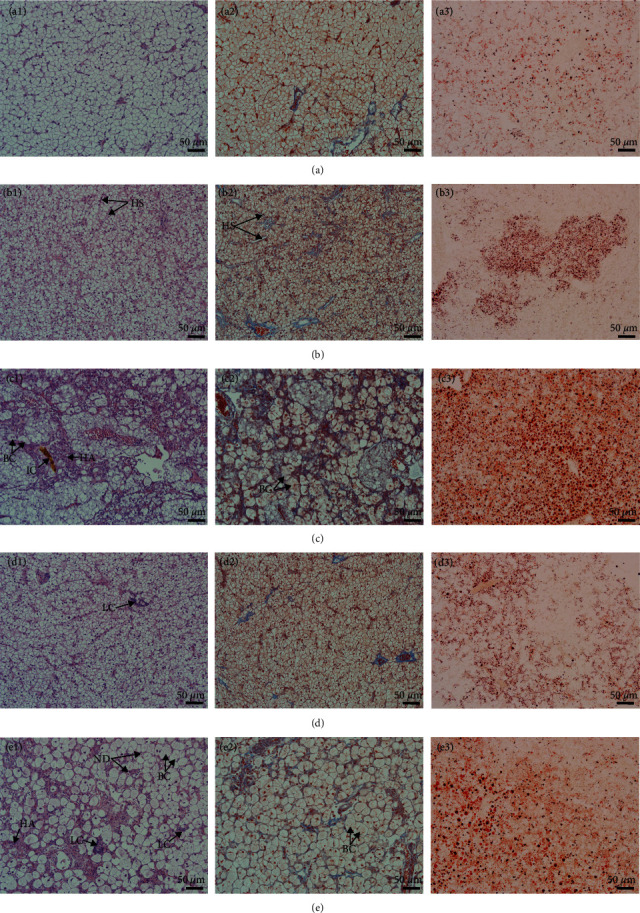PMC10830314 – fig2