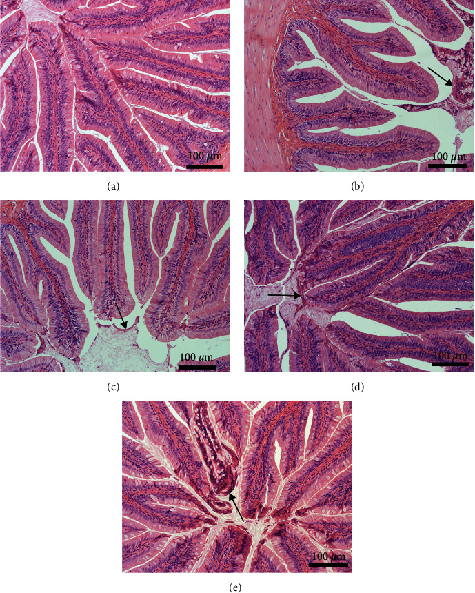 PMC10830314 – fig3