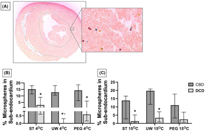 PMC9307000 – aor14208-fig-0005