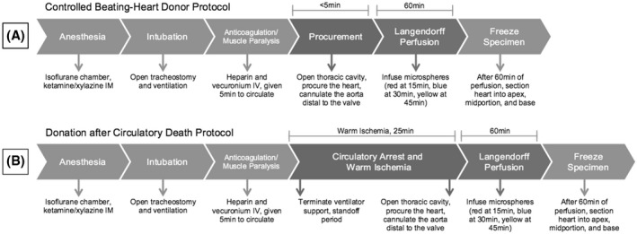 PMC9307000 – aor14208-fig-0001