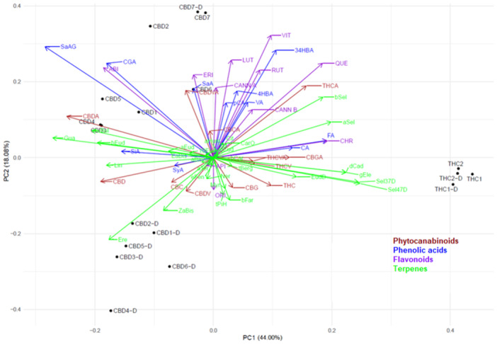 PMC11726160 – ardp202400607-fig-0002
