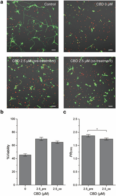 PMC12711387 – asia70441-fig-0002