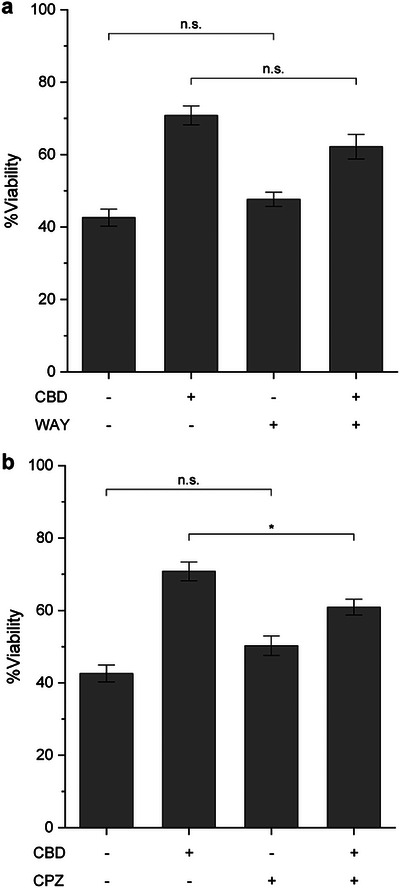 PMC12711387 – asia70441-fig-0004