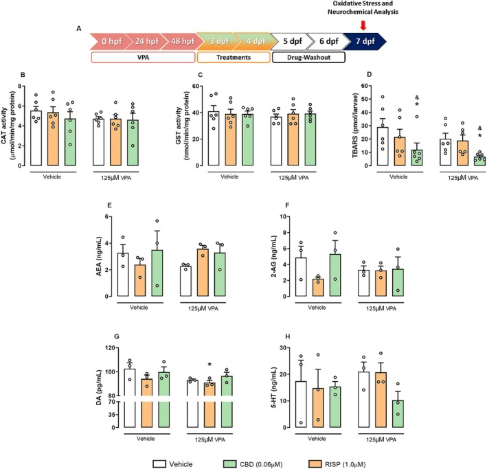PMC12729503 – aur70151-fig-0005