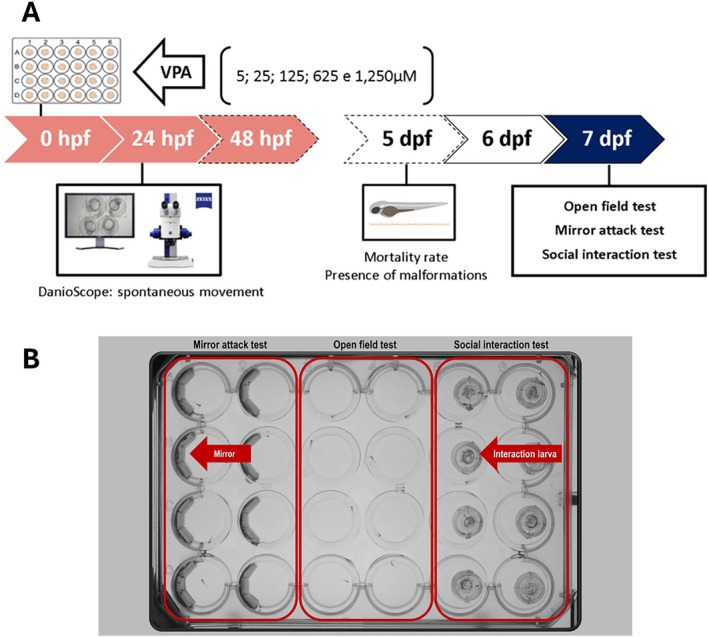 PMC12729503 – aur70151-fig-0001