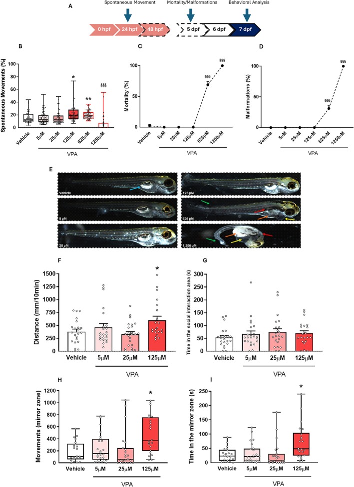 PMC12729503 – aur70151-fig-0003