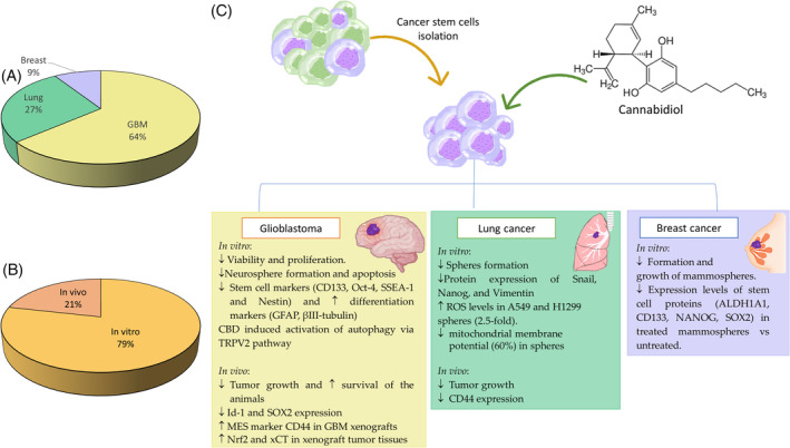 PMC11681305 – biof2148-fig-0004