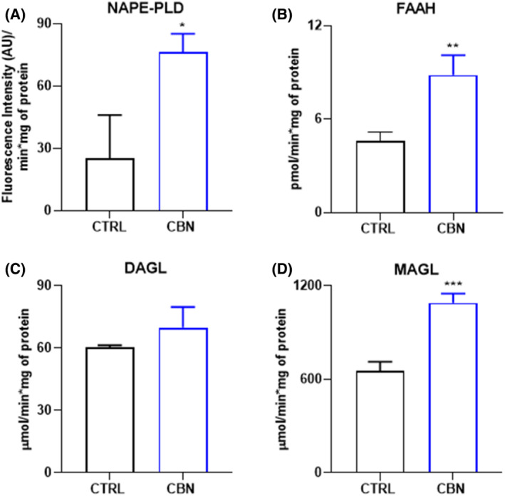 PMC11681214 – biof2122-fig-0004