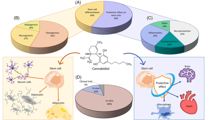 PMC11681305 – biof2148-fig-0003