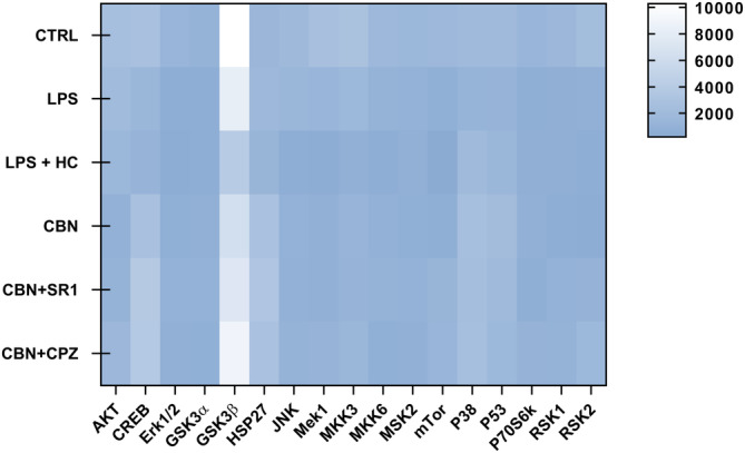 PMC11681214 – biof2122-fig-0007
