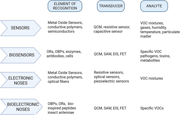 PMC12817020 – biof70066-fig-0001