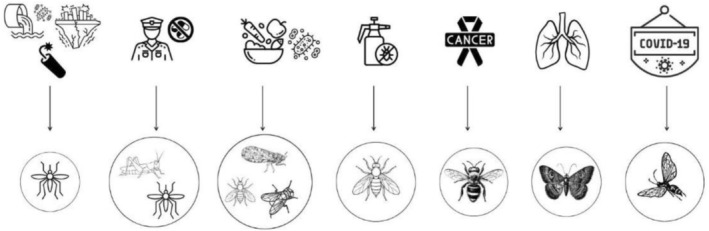 PMC12817020 – biof70066-fig-0003