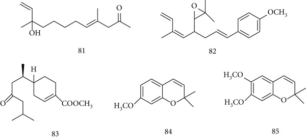 PMC12864545 – fig-0019