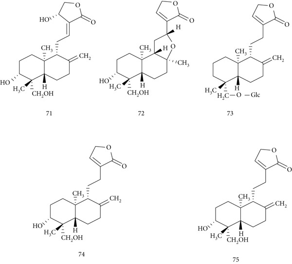 PMC12864545 – fig-0017