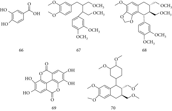PMC12864545 – fig-0016