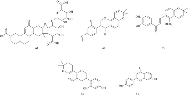 PMC12864545 – fig-0015