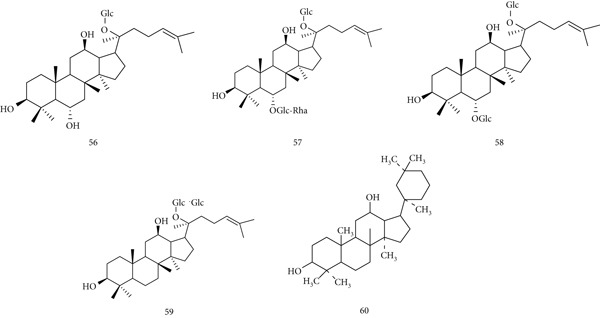 PMC12864545 – fig-0014