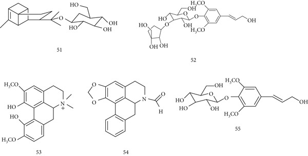 PMC12864545 – fig-0013