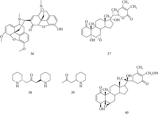 PMC12864545 – fig-0010