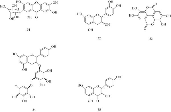 PMC12864545 – fig-0009