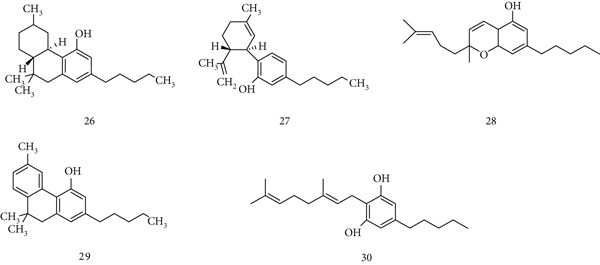 PMC12864545 – fig-0008