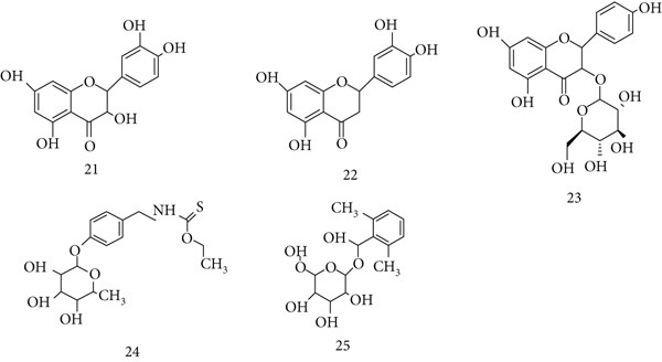 PMC12864545 – fig-0007