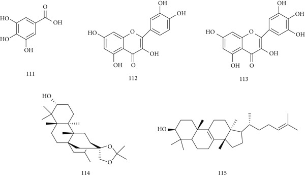 PMC12864545 – fig-0025