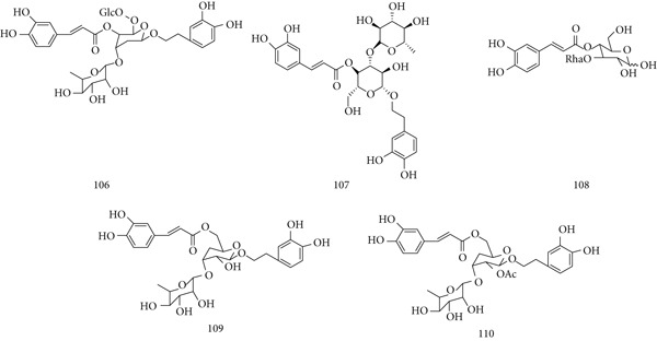 PMC12864545 – fig-0024