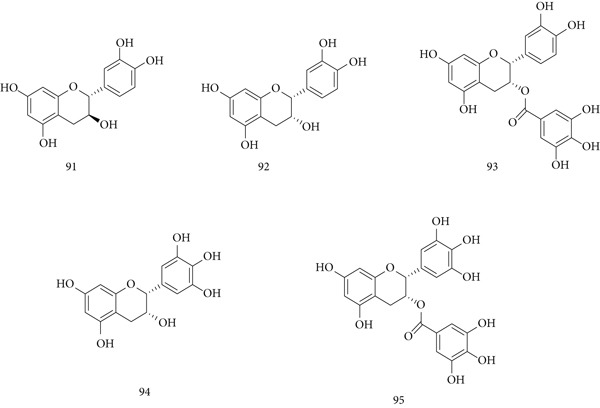 PMC12864545 – fig-0021