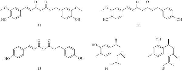 PMC12864545 – fig-0005
