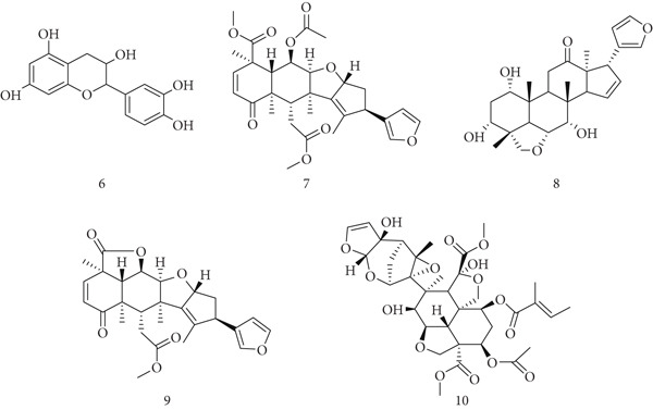 PMC12864545 – fig-0004